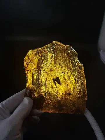 Копал молодой янтарь коллекционный 166 гр