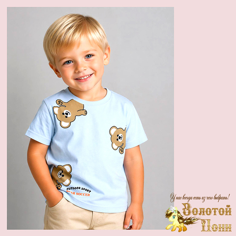 Футболка хлопок м (2-5) 260416-N651