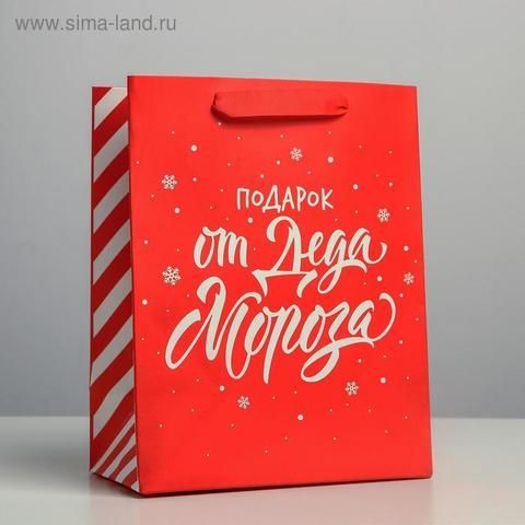 Пакет ламинированный вертикальный «Подарок от Деда Мороза», MS 18 × 23 × 10 см