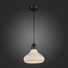 Светильник подвесной ST Luce Genio SL712.883.01