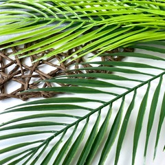 Пальма, искусственная зелень, цвет Зеленый и светло-зеленый, 6 крупных листьев, букет 50 см, 1 шт.