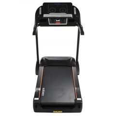 Беговая дорожка Evo fitness power