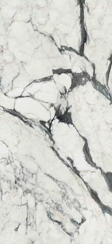 Rex Ceramiche Les Bijoux de Rex Calacatta Altissimo Matte 60x120