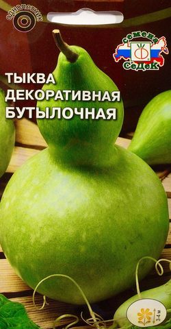 large_%D1%82%D1%8B%D0%BA%D0%B2%D0%B0_%D0%B1%D1%83%D1%82%D1%8B%D0%BB%D0%BE%D1%87%D0%BD%D0%B0%D1%8F_1.jpg