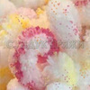 Alize Puffy Color 6244