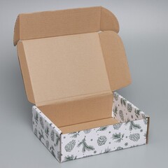 Коробка сборная одиночная Прямоугольник, «Шишки», 27*21*9 см