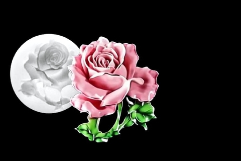 Силиконовый молд 