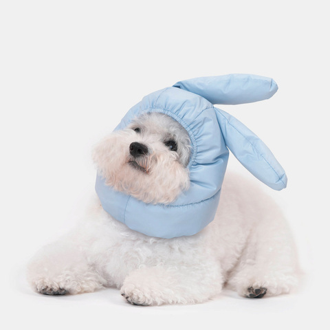 022 SO - Шапка для собак 