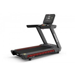 Беговая дорожка UltraGym UG-Power 010