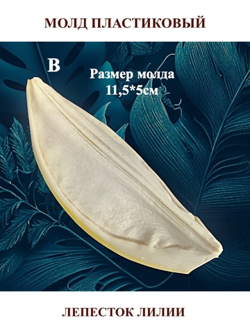 Молды 
