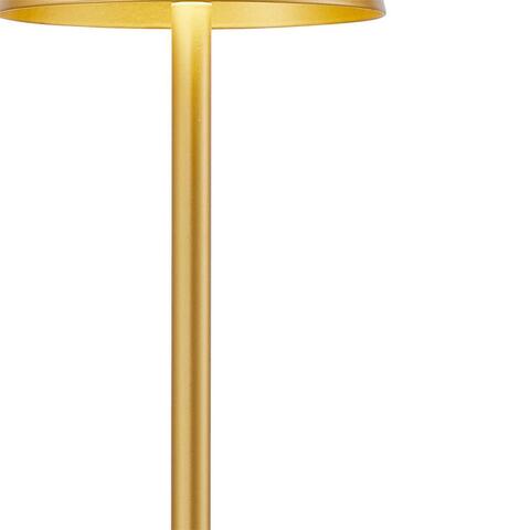 Настольная светодиодная лампа F-Promo Pyari 4616-1T