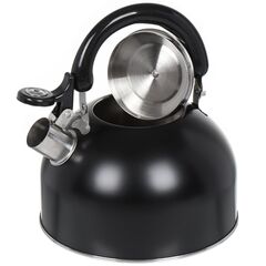 Чайник нерж, 2.5 л, свист, мат, ручк металл, Daniks, чер, GS-04001