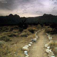 Travis & Fripp / Follow (2LP)