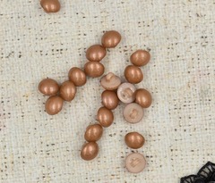 Пуговицы на ножке, d 11 мм, темно-персиковый