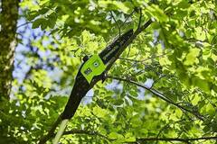 Высоторез-cучкорез Greenworks GD60PST25 60V (25 см) аккумуляторный, без АКБ и ЗУ