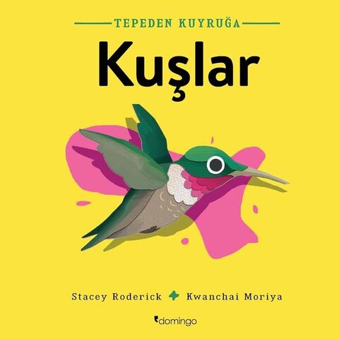 Tepeden Kuyruğa - Kuşlar