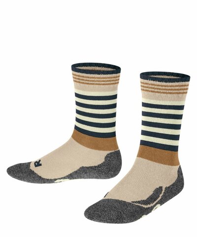 Носки Active Frog FALKE 11943/4650