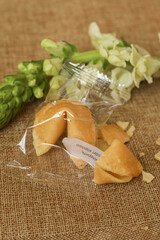 Традиционное печенье с предсказаниями