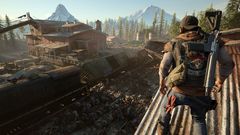 Жизнь после (Days Gone) (диск для PS4, полностью на русском языке)