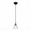 Светильник подвесной ST Luce Evoluto SL237.403.01