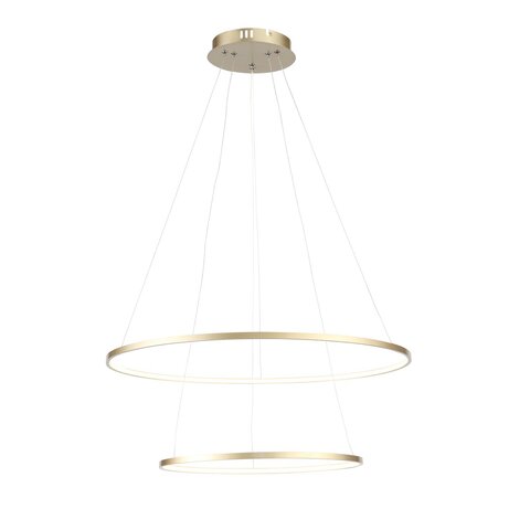 Светильник подвесной ST Luce Erto SL904.203.02