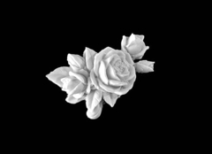 Силиконовый молд 