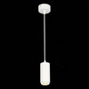 Светильник подвесной ST Luce ST600.533.10