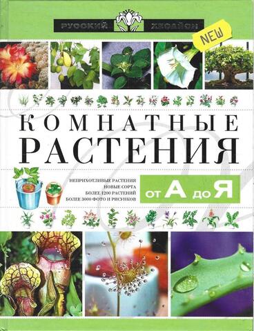 Комнатные растения от А до Я