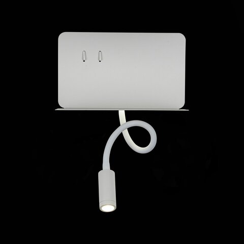 Светильник настенный ST Luce Pinaggio SL1576.501.02