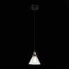 Светильник подвесной ST Luce Evoluto SL237.403.01