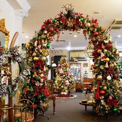 Арка со встроенным светом 250 см