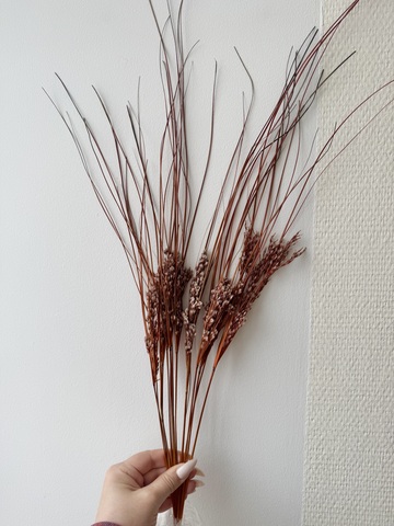 Трава стабилизированная Оранжевый (45-60см )