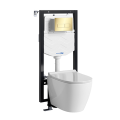 WasserKRAFT Vils 56TLT.010.ME.PG03.H002 Система инсталяции с унитазом фото