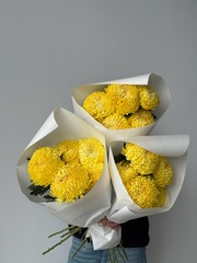 Охапка хризантемы в желтом оттенке 5 шт