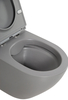 BelBagno BB062CHR-GR/BB062SC-GR Унитаз подвесной безободковый BelBagno COLORATO BB062CHR-GR/BB062SC-GR