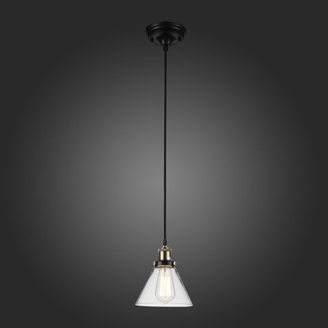 Светильник подвесной ST Luce Evoluto SL237.403.01