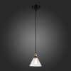 Светильник подвесной ST Luce Evoluto SL237.403.01
