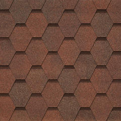 Nocciola 418