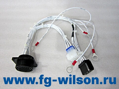 Проводка / HARNESS (AC alternator harness (LS upgrade) АРТ: 10000-76313