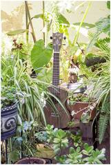 Укулеле концерт FLIGHT DUC430 DAO