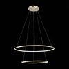 Светильник подвесной ST Luce Erto SL904.203.02