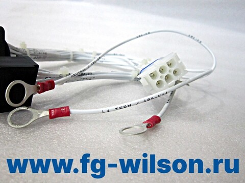 Проводка / HARNESS (AC alternator harness (LS upgrade) АРТ: 10000-76313