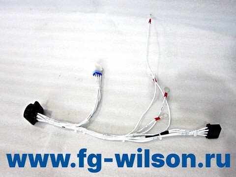 Проводка / HARNESS (AC alternator harness (LS upgrade) АРТ: 10000-76313