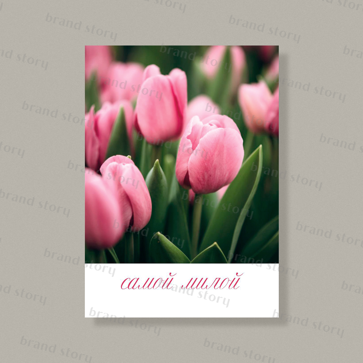 Открытка С178 (10 шт.) 7 х 10 см