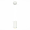 Светильник подвесной ST Luce ST600.543.10