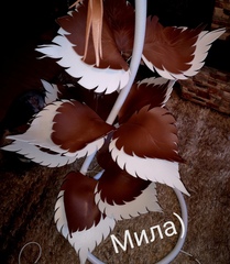 ГРАЦИЯ 2