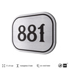 Номерок на дверь квартиры 881, для кабинета, офиса, шильдик 9 х 7 см, серебристый, Айдентика Технолоджи
