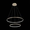 Светильник подвесной ST Luce Erto SL904.203.02