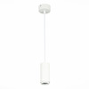 Светильник подвесной ST Luce ST600.543.10