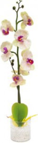 Декоративный светильник «Орхидея», белые цветы, PL307 (Feron)